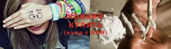 прущие грибы Бугульма