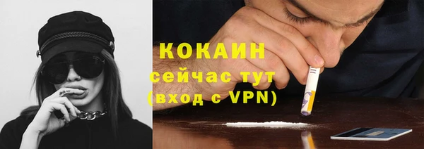 прущие грибы Бугульма