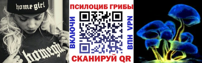 даркнет сайт  Шахты  Галлюциногенные грибы MAGIC MUSHROOMS 